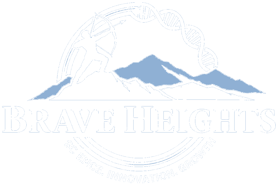 BRAVE HEIGHTS, LLC. logo