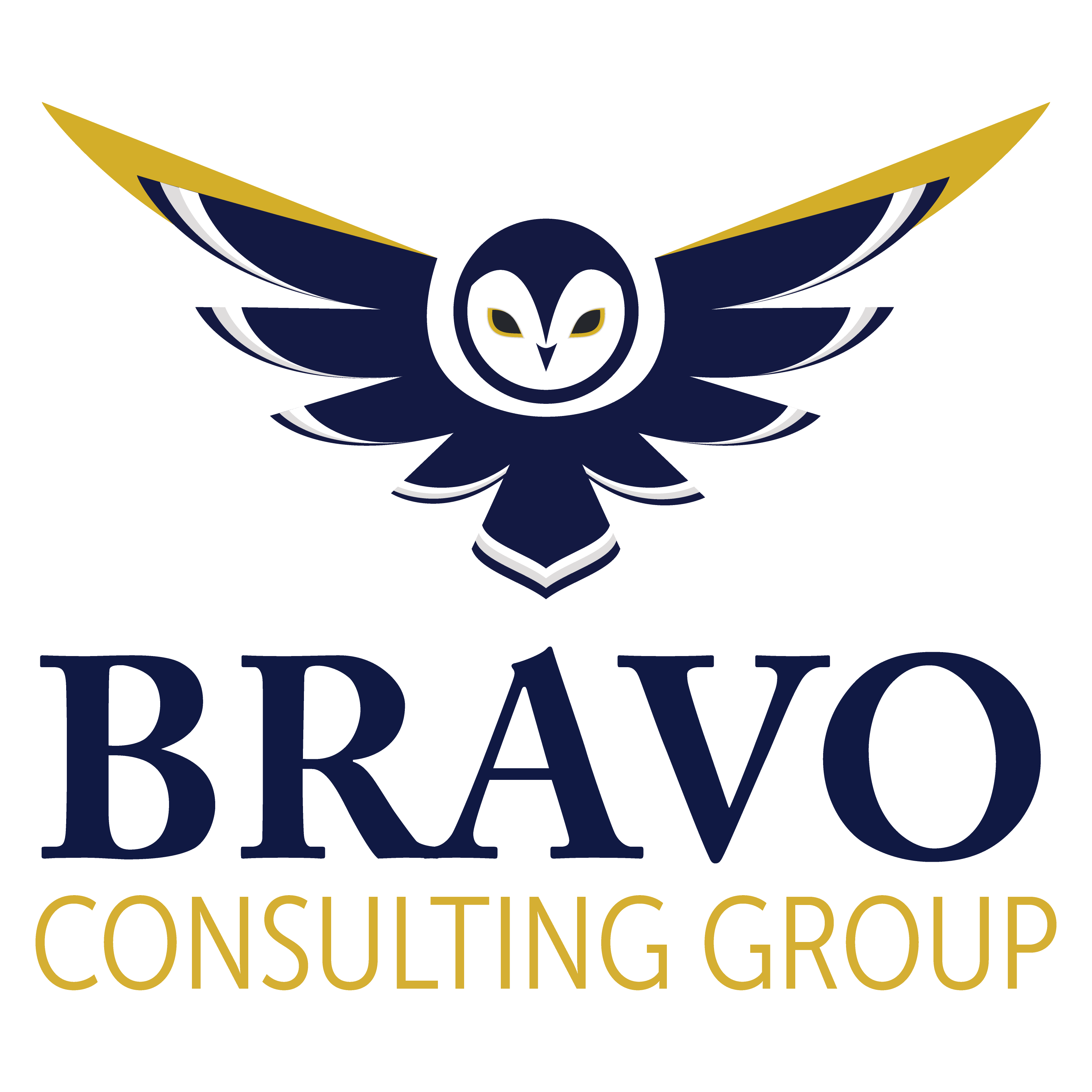 BRAVO CONSULTING GROUP, LLC logo