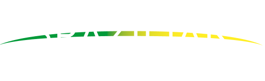 BRAZILIAN RARE EARTHS LIMITED logo