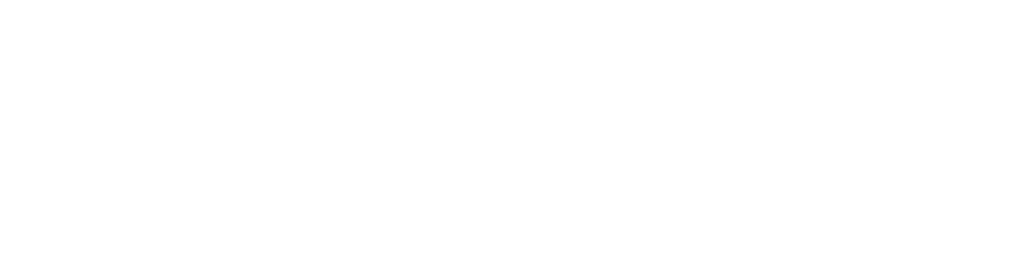 BREN-TRONICS DEFENSE LLC logo