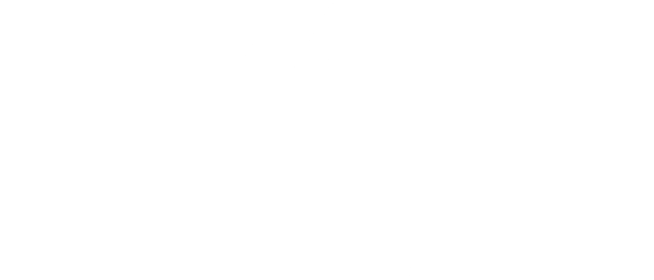 BREWING AMERICA logo