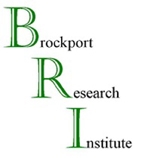 BRI CONSULTANCY LLC logo