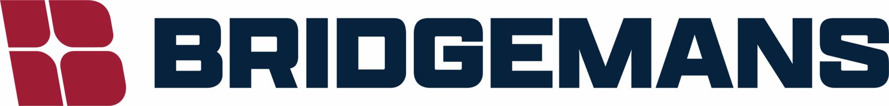 BRIDGEMANS SERVICES GROUP LP logo