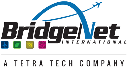 BRIDGENET CONSULTING SERVICES logo