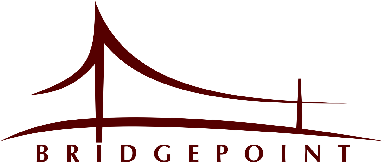BRIDGEPOINT MANAGEMENT GROUP, LLC logo