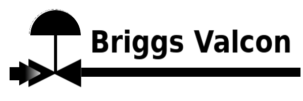 BRIGGS VALCON INC logo
