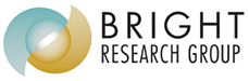 BRIGHT RESEARCH GROUP INC logo