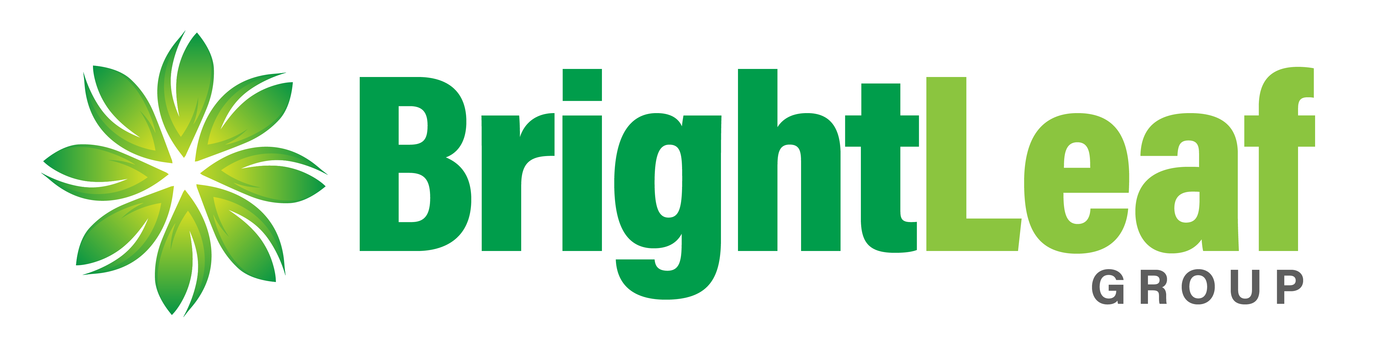 BRIGHTLEAF GROUP, INC logo