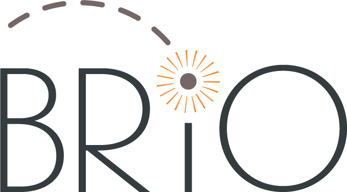 BRIO LLC logo