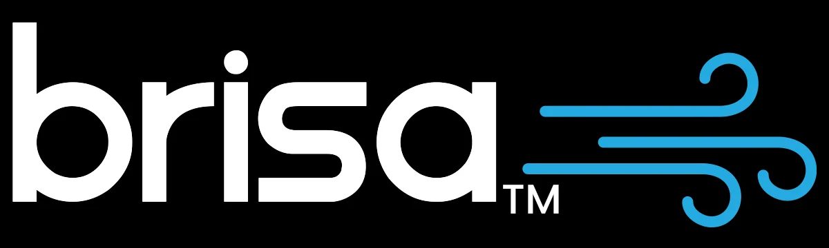 BRISA logo