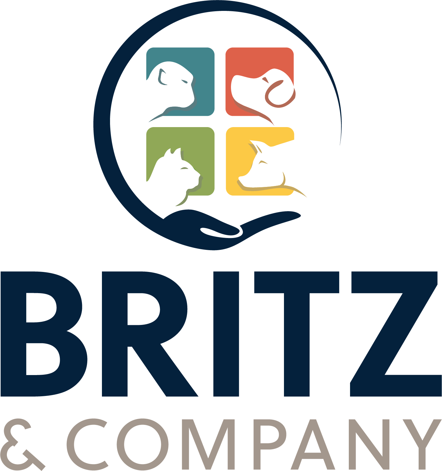BRITZ & COMPANY logo