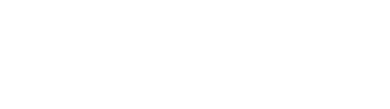 BRONNER GROUP LLC logo