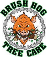 BRUSH HOG TREE CARE INC logo