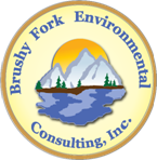 BRUSHY FORK ENVIRONMENTAL CONSULTING INC logo