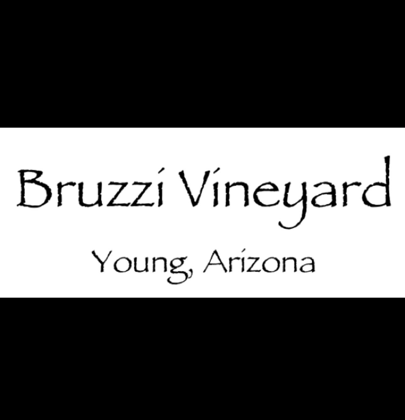 BRUZZI VINEYARD logo