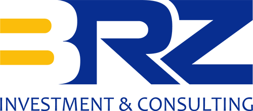 BRZ INVESTMENT & CONSULTING LLC logo