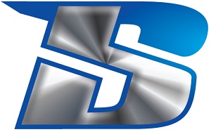 BS DESIGNS INC logo