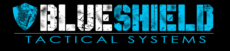 BSTS LLC logo