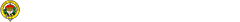 BUCHANAN COMPANY, INC. logo