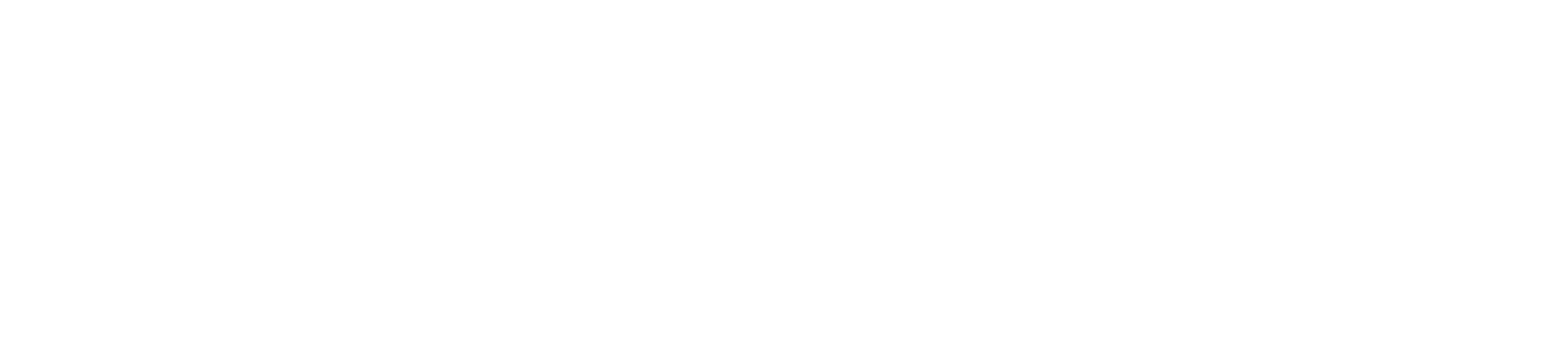 BUCKEYE TELESYSTEM logo