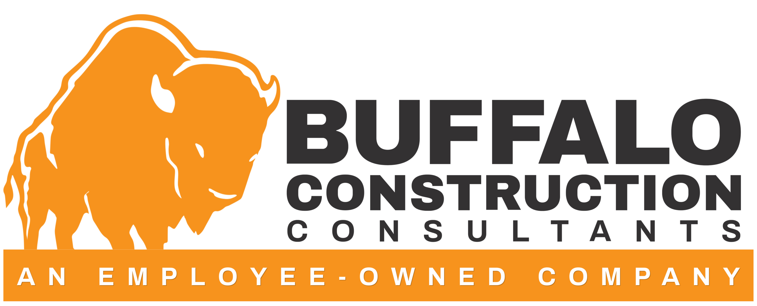 BUFFALO CONSTRUCTION CONSULTANTS, INC logo