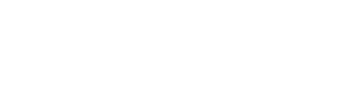 BUGEYE TECHNOLOGIES INC logo