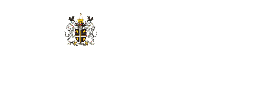 BULL MOOSE HEAVY HAUL, INC logo