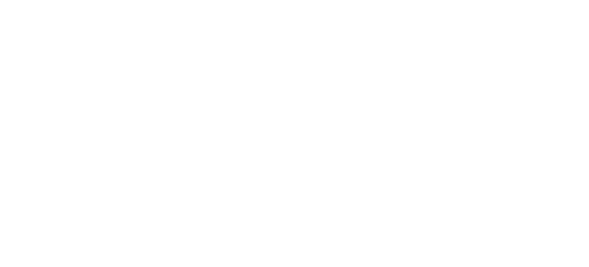 BURGEX INC logo