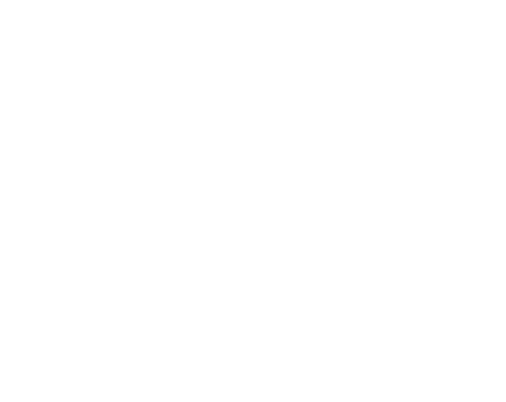 BURNER FIRE CONTROL INC logo