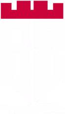 BURNINGCASTLE LLC logo