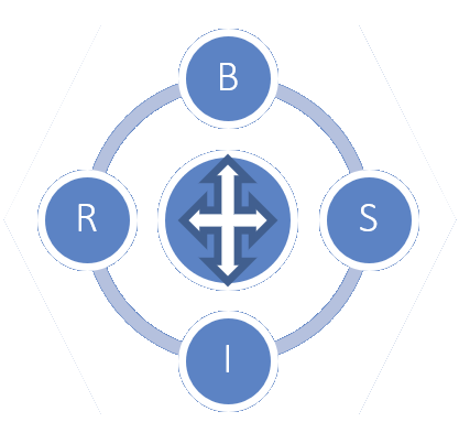 BUSINESS INTELLIGENCE REPORTING SERVICES INC. logo
