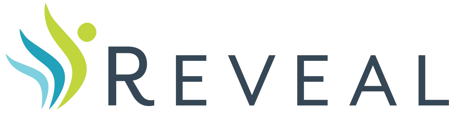 BUSINESS MATURITY GROUP logo