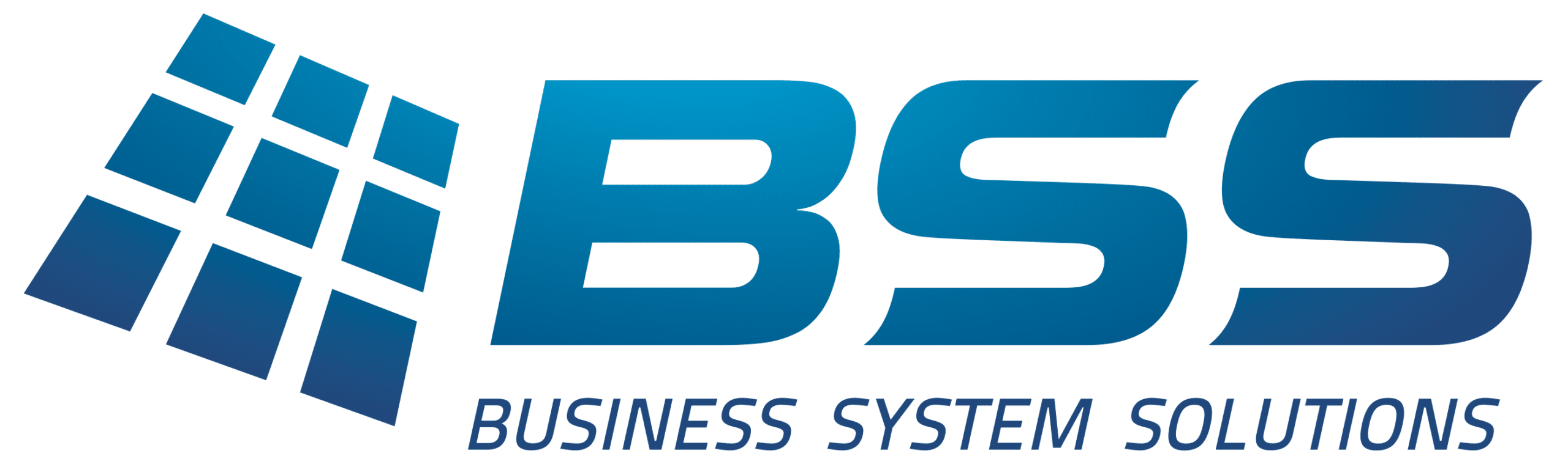 BUSINESS SYSTEMS SOLUTIONS logo