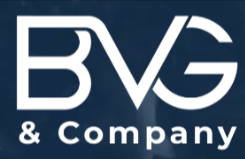 BVG & CO CONSULTING LLC logo