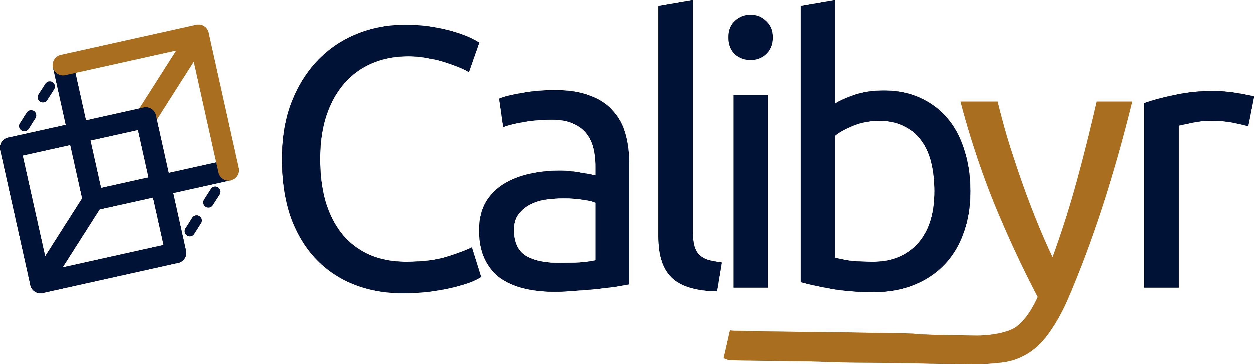 CALIBYR CORP logo