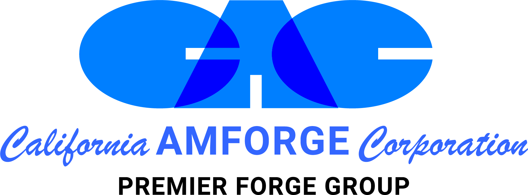 CALIFORNIA AMFORGE CORP logo