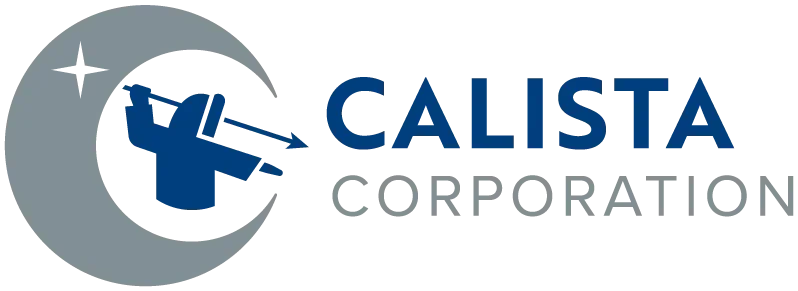 CALISTA CORP logo