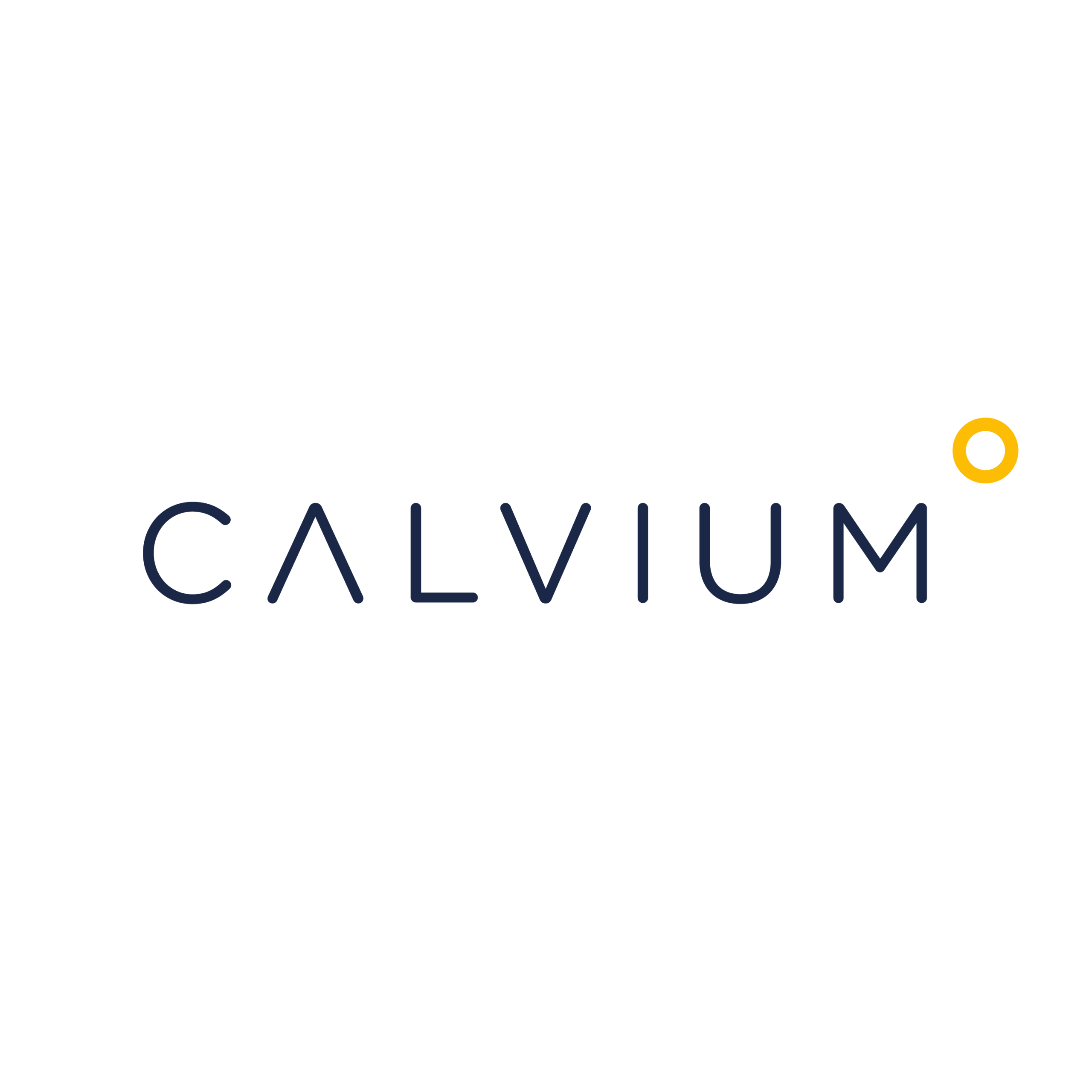 CALVIUM LTD logo