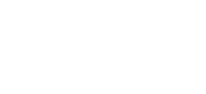 CAMBER CONSULTING LLC logo