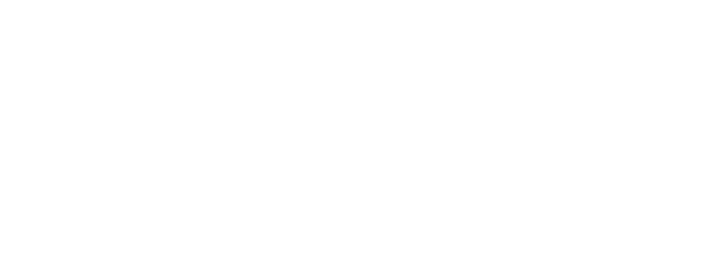 CAMIROS, LTD. logo