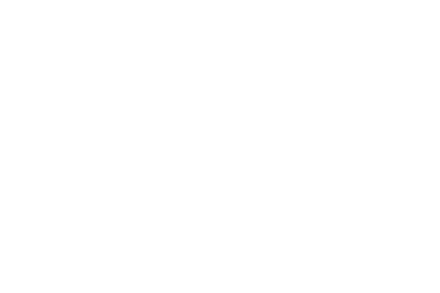 CAMP SYSTEMS INTERNATIONAL INC. logo