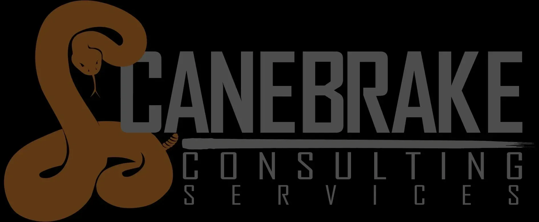CANEBRAKE CONSULTING SERVICES LLC logo