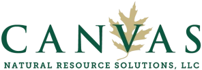 CANVAS NATURAL RESOURCE SOLUTIONS, LLC logo