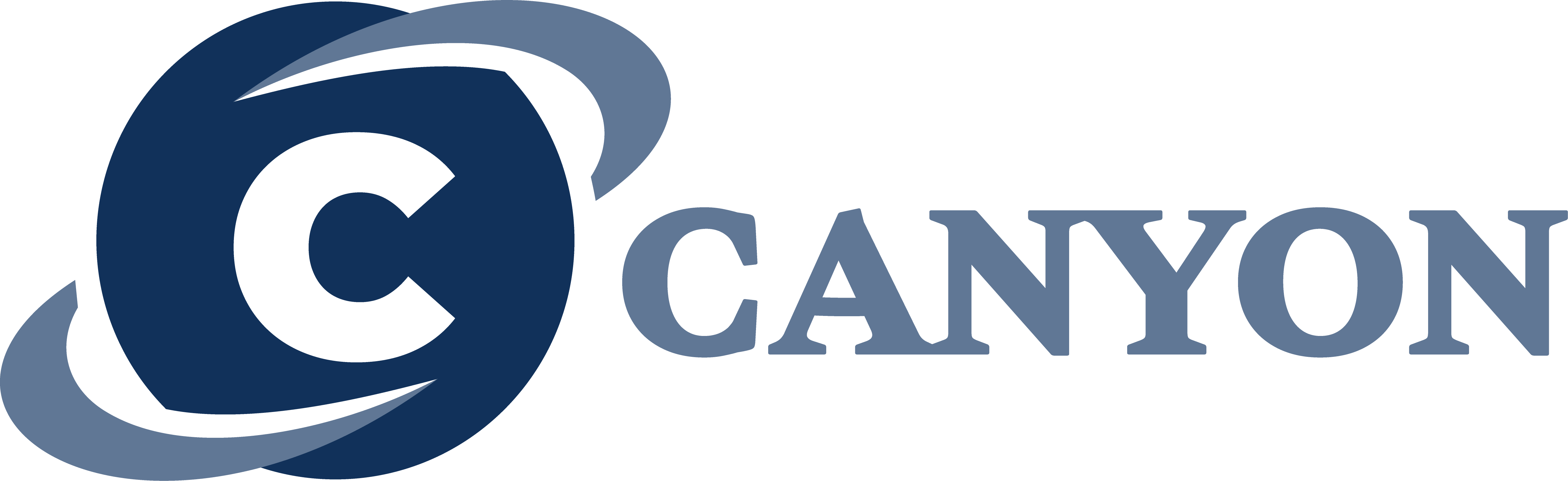 CANYON CONSULTING, LLC logo