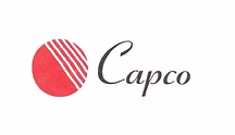 CAPCO TELECOM LLC logo