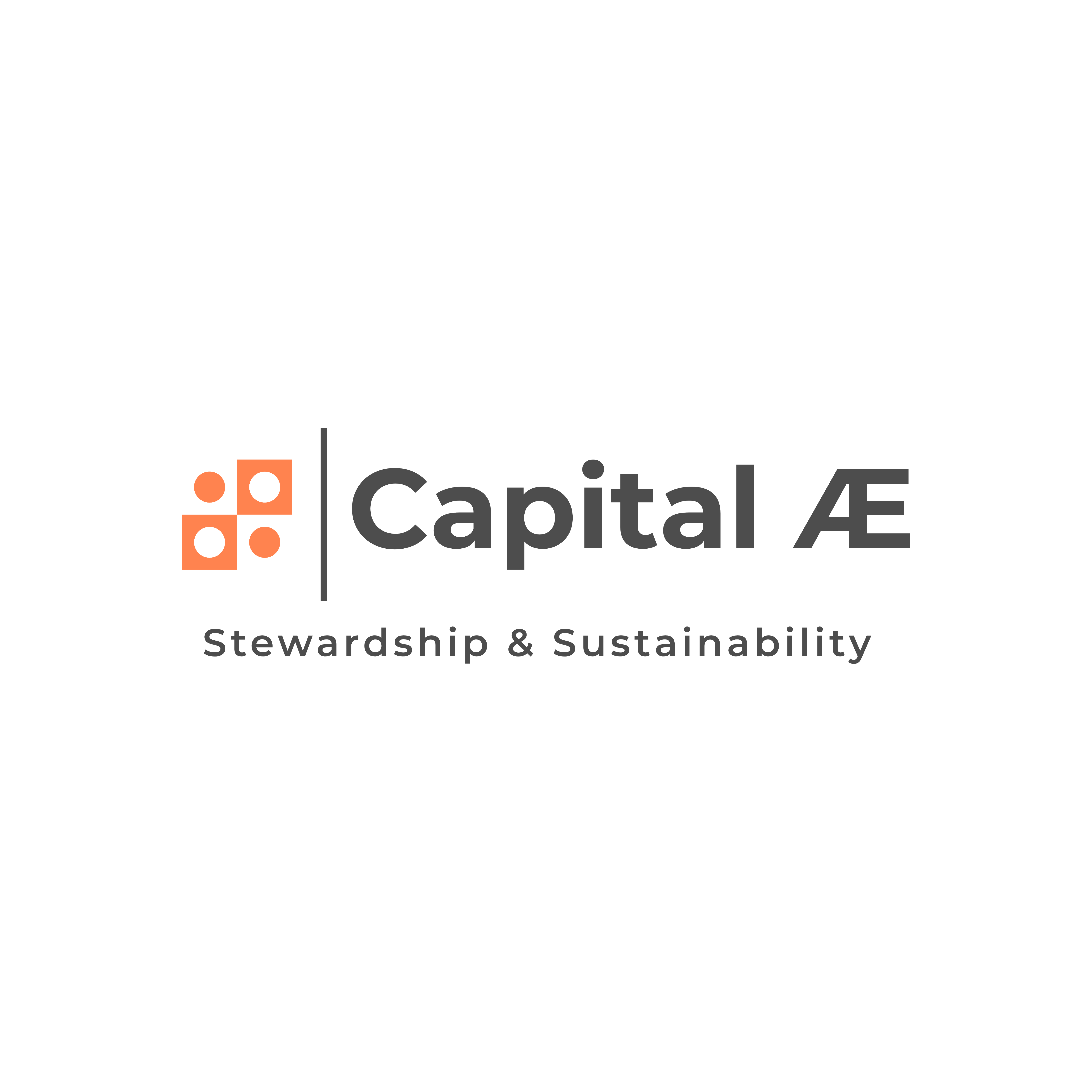 CAPITAL AE logo