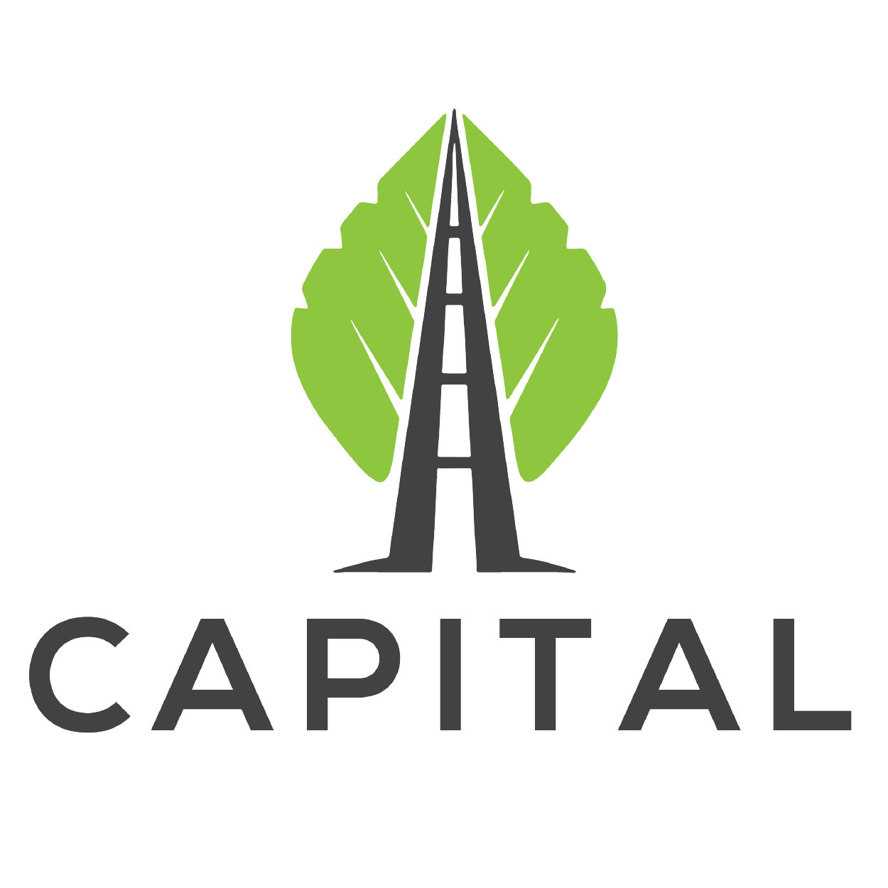 CAPITAL CONSULTING SOLUTIONS LLC logo