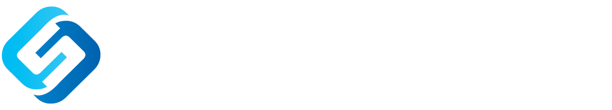 CAPITAL SEARCH GROUP LLC logo