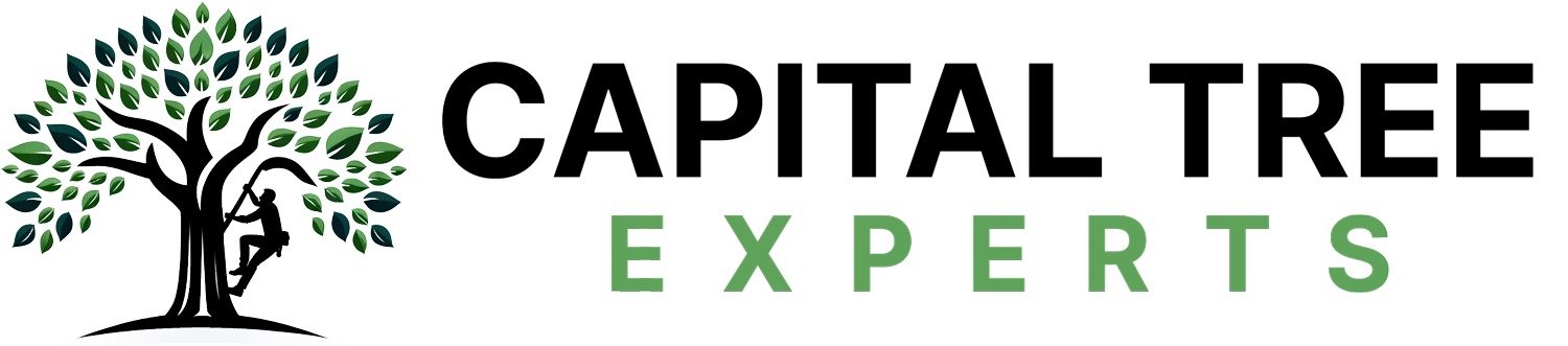 CAPITAL TREE EXPERTS LLC logo