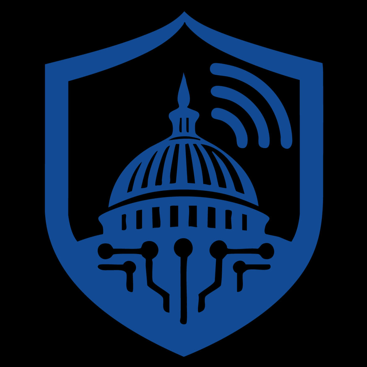 CAPITOL NETWORKING logo